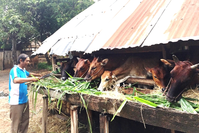 Giải pháp thúc đẩy tín dụng chính sách khu vực Tây Nguyên