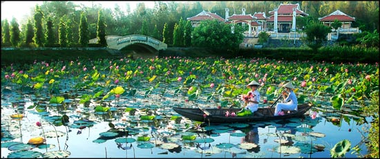 Khách quốc tế đến Quảng Ngãi tăng mạnh