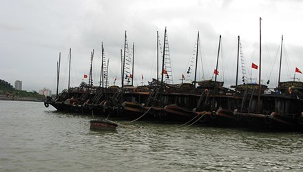 Quảng Ninh Chấm dứt hoạt động Cảng tàu khách du lịch Bãi Cháy từ 1 1 2016