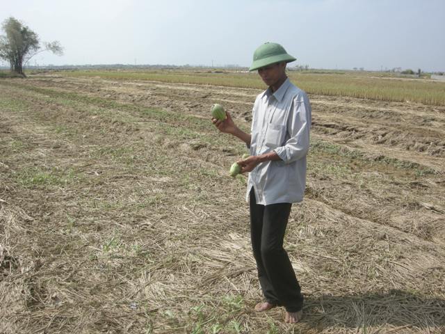 Việt Nam nỗ lực ứng phó với biến đổi khí hậu