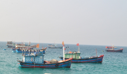 Quảng Ngãi Sơ kết 5 năm thực hiện Chiến lược biển Việt Nam đến năm 2020