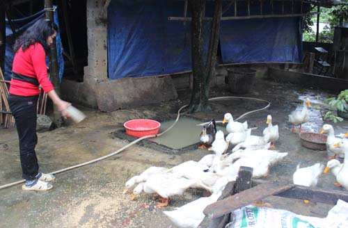 Thuận Châu Sơn La  Tạo điều kiện cho các hộ khó khăn vay vốn, từng bước thoát nghèo