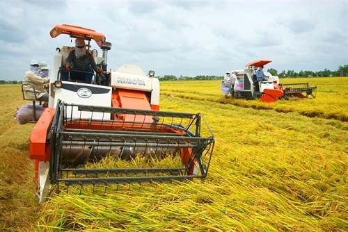 Tái cơ cấu nông nghiệp gắn với xây dựng nông thôn mới, nâng cao đời sống nông dân