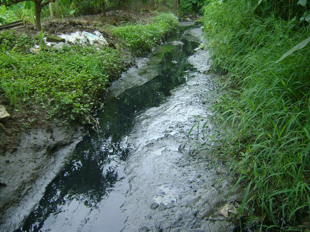 Ô nhiễm môi trường nghiêm trọng ở vùng chăn nuôi lợn lớn nhất phía Bắc