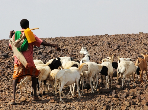 Ethiopia đối mặt với tình trạng thiếu lương thực trầm trọng trong năm 2016