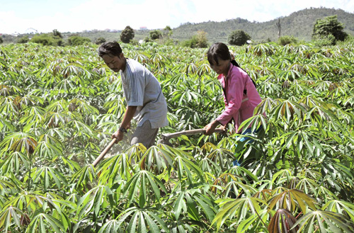 Gia Lai Chị H Phương  dân số