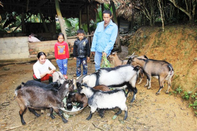 Năm 2016, Ngân hàng chính sách xã hội đặt mục tiêu tăng trưởng dư nợ 8