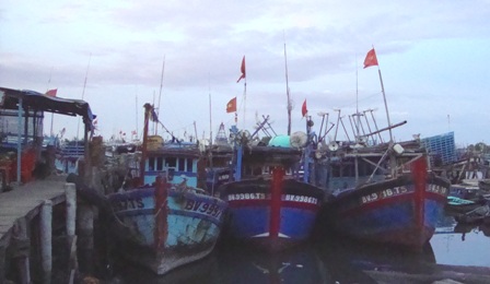 Bà Rịa – Vũng Tàu thành lập gần 300 tổ ngư dân đoàn kết khai thác hải sản