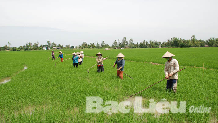 Chưa xây dựng được mô hình sản xuất nông nghiệp bền vững