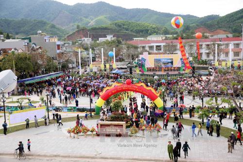 Quảng Ninh Khai mạc Lễ hội Trà hoa vàng