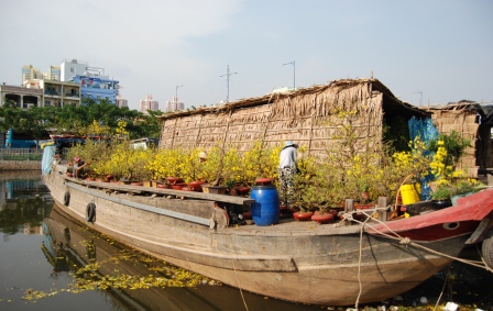 Xuân về trên Bến Bình Đông