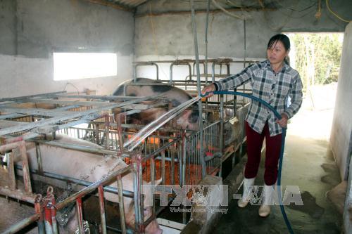 Làm kinh tế giỏi, tích cực tham gia các phong trào