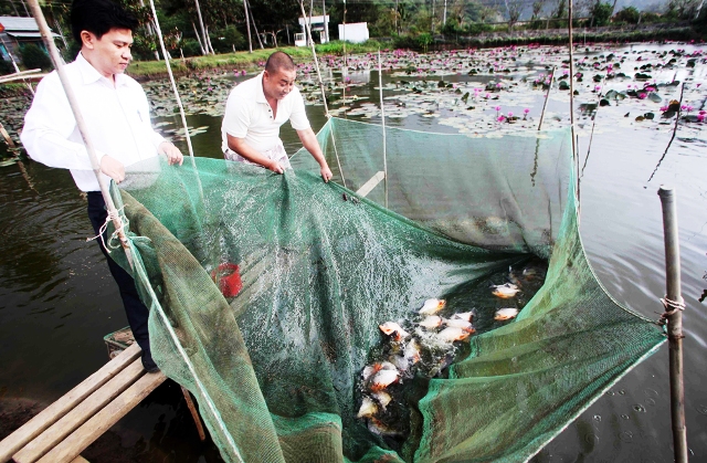 Tín dụng chính sách nơi đảo xa