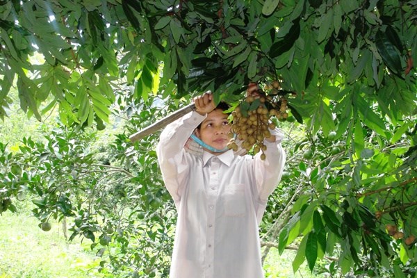 Những phụ nữ gương mẫu, có uy tín trong cộng đồng