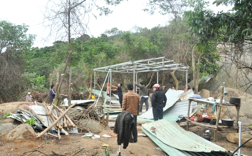 Vụ phá rừng Sơn Trà - Đà Nẵng Đình chỉ 5 cán bộ kiểm lâm