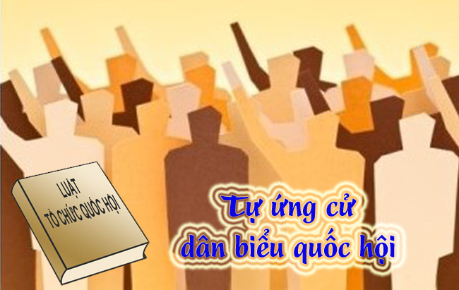Việc khiếu nại, tố cáo, kiến nghị về người ứng cử được thực hiện thế nào