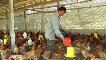 Hòa Bình Lan tỏa hiệu quả từ một phong trào thi đua thiết thực