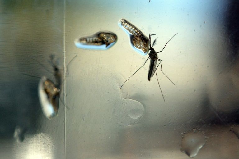 Diễn biến khả quan về dịch bệnh Zika tại Colombia