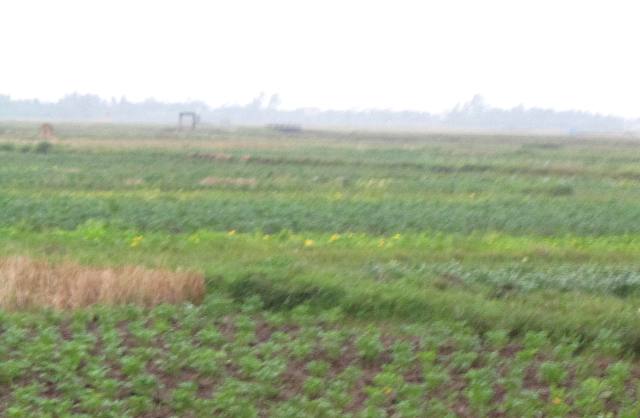Yên Khánh Ninh Bình  Tập trung phát triển nông nghiệp một cách toàn diện