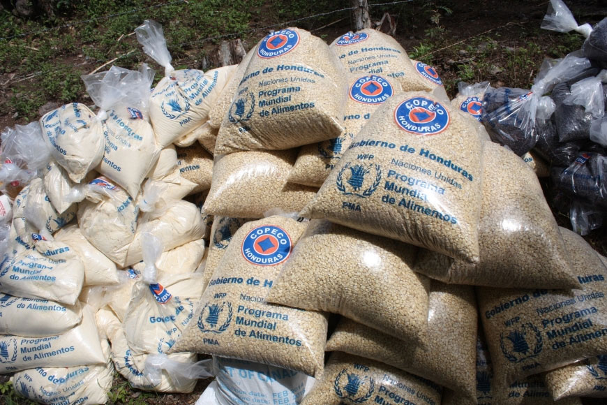 Hàng triệu người dân ở Trung Phi và Haiti cần được hỗ trợ lương thực vì hạn hán
