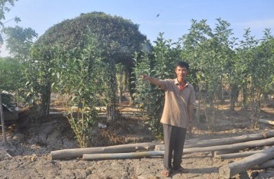 Cần sớm trả lại danh dự cho chủ đất quán cà phê Xin Chào