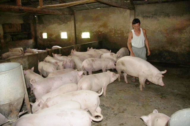 Hà Giang Thêm vốn mở rộng đầu tư - tăng cơ hội thoát nghèo tại các vùng khó