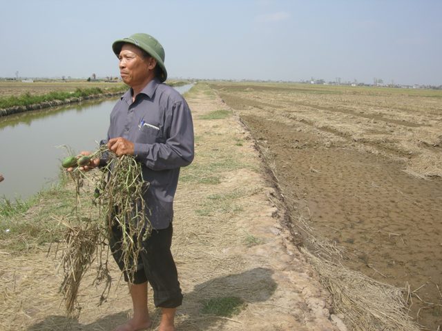 Biến đổi khí hậu và vấn đề đặt ra