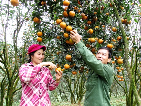 Những triệu phú vươn lên từ nghèo khó