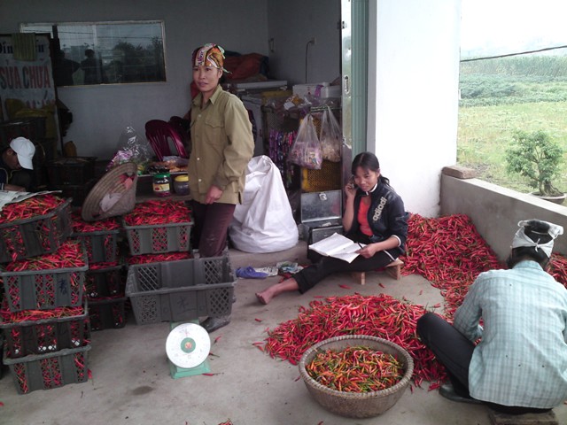 Tiêu thụ nông sản trong bối cảnh hội nhập và vấn đề đặt ra