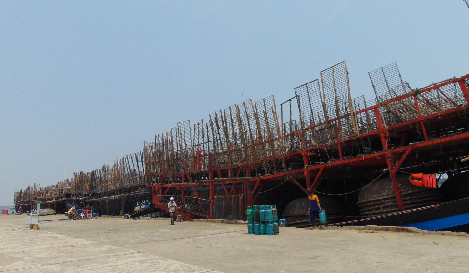 Cần có giải pháp giúp ngư dân đánh bắt mực xà đen khô xuất khẩu