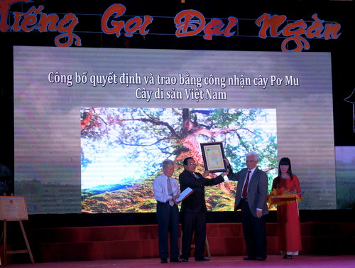 Quảng Nam Khởi động Năm du lịch Tây Giang 2016