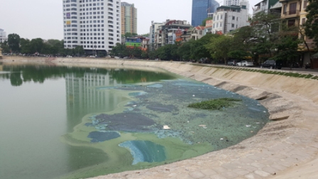 Để “lá phổi xanh” luôn thân thiện với con người