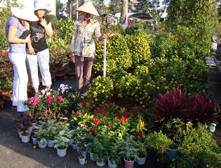 Đồng Nai Phát triển sản xuất nông nghiệp quy mô lớn
