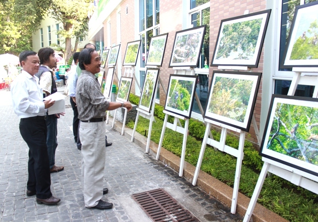 Triển lãm ảnh “Đời sống của Vọoc Chà Vá Chân Nâu ở Sơn Trà”
