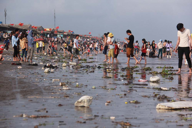 Hãy hành động để cùng giữ gìn môi trường biển