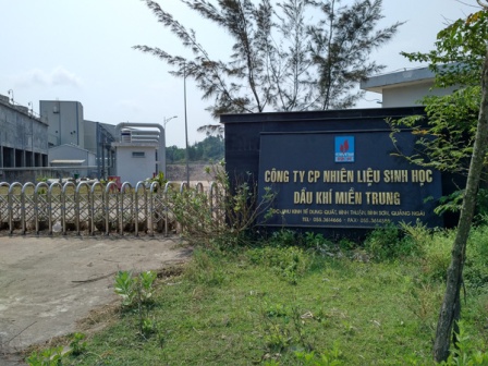 Hội chứng đầu tư theo phong trào
