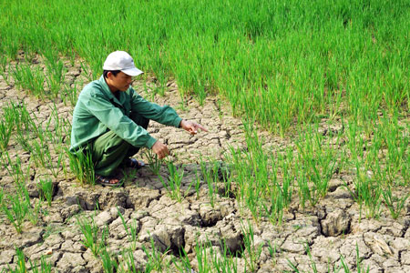 Hoa Kỳ - Việt Nam ra Tuyên bố chung về Quan hệ Đối tác chống biến đổi khí hậu