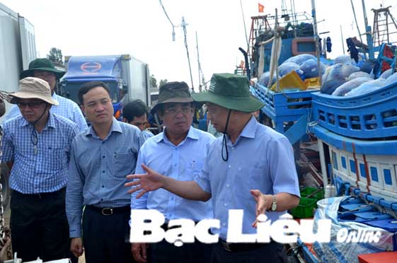 Sẽ sớm đầu tư nâng cấp Cảng cá Gành Hào