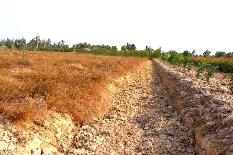 Liên minh châu Âu tiếp tục hỗ trợ Việt Nam khắc phục hạn hán và xâm nhập mặn
