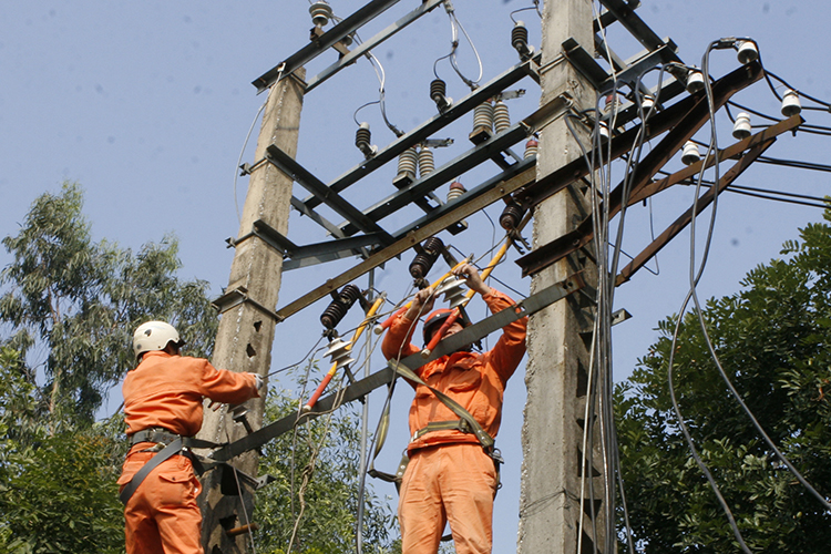 Công ty Điện lực Phú Yên Quyết liệt chống nạn trộm cắp điện