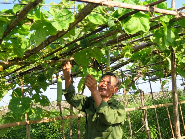 Xây dựng nông thôn mới tại huyện duyên hải Thạch Hà Hà Tĩnh