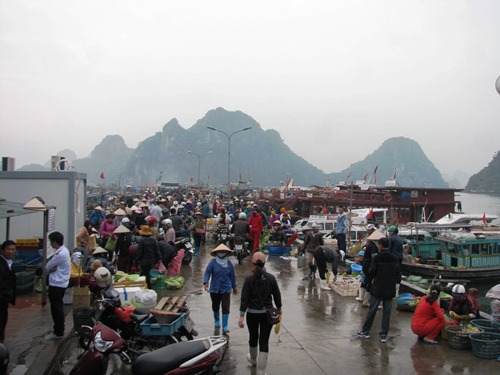 Hơn 2 000 du khách mắc kẹt ở Cô Tô được đưa vào đất liền
