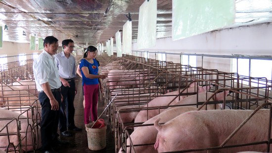 Nông dân Yên Khánh thi đua sản xuất kinh doanh giỏi