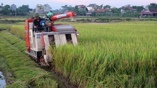 Bước chuyển mới trên vùng đất bán sơn địa