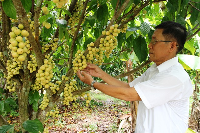 Hiệu quả tín dụng chính sách ở miền đất Tây Đô