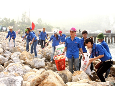 Sức trẻ trên đảo Cù Lao Chàm