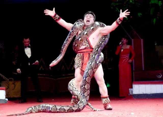 Phê duyệt danh mục sản phẩm nghệ thuật đặt hàng năm 2016