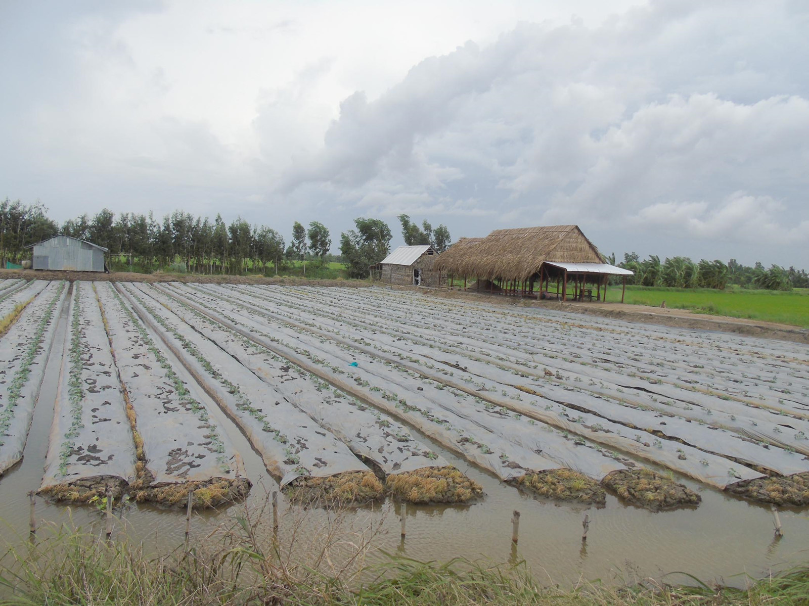 Trà Vinh kêu gọi đầu tư vào lĩnh vực nông nghiệp, nông thôn