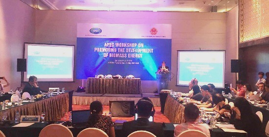 APEC thúc đẩy sự phát triển của năng lượng sinh khối