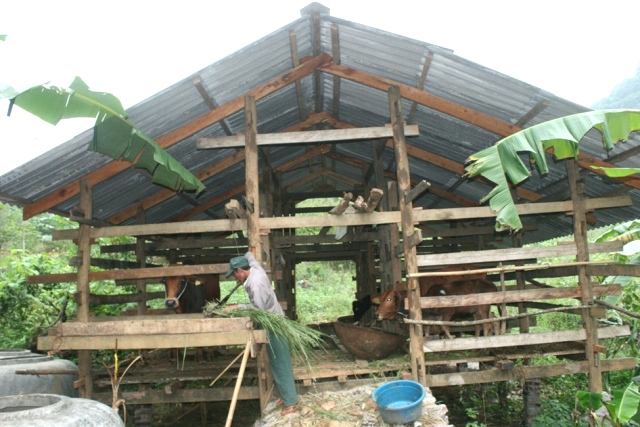 Hội Phụ nữ huyện Hà Quảng Kết hợp thực hiện công tác Hội với triển khai nhiệm vụ của địa phương